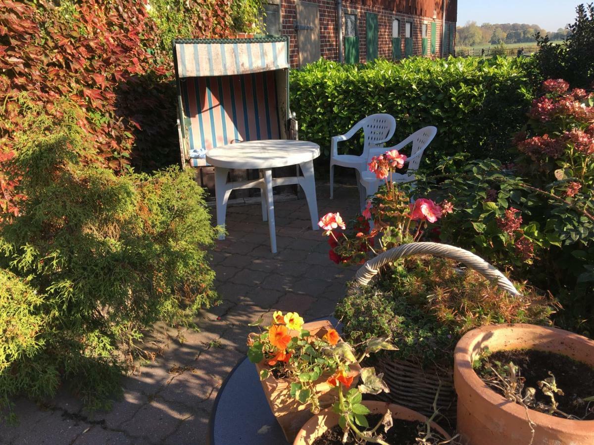 Wrede-Hof Apartment Cappeler Niederstrich Luaran gambar